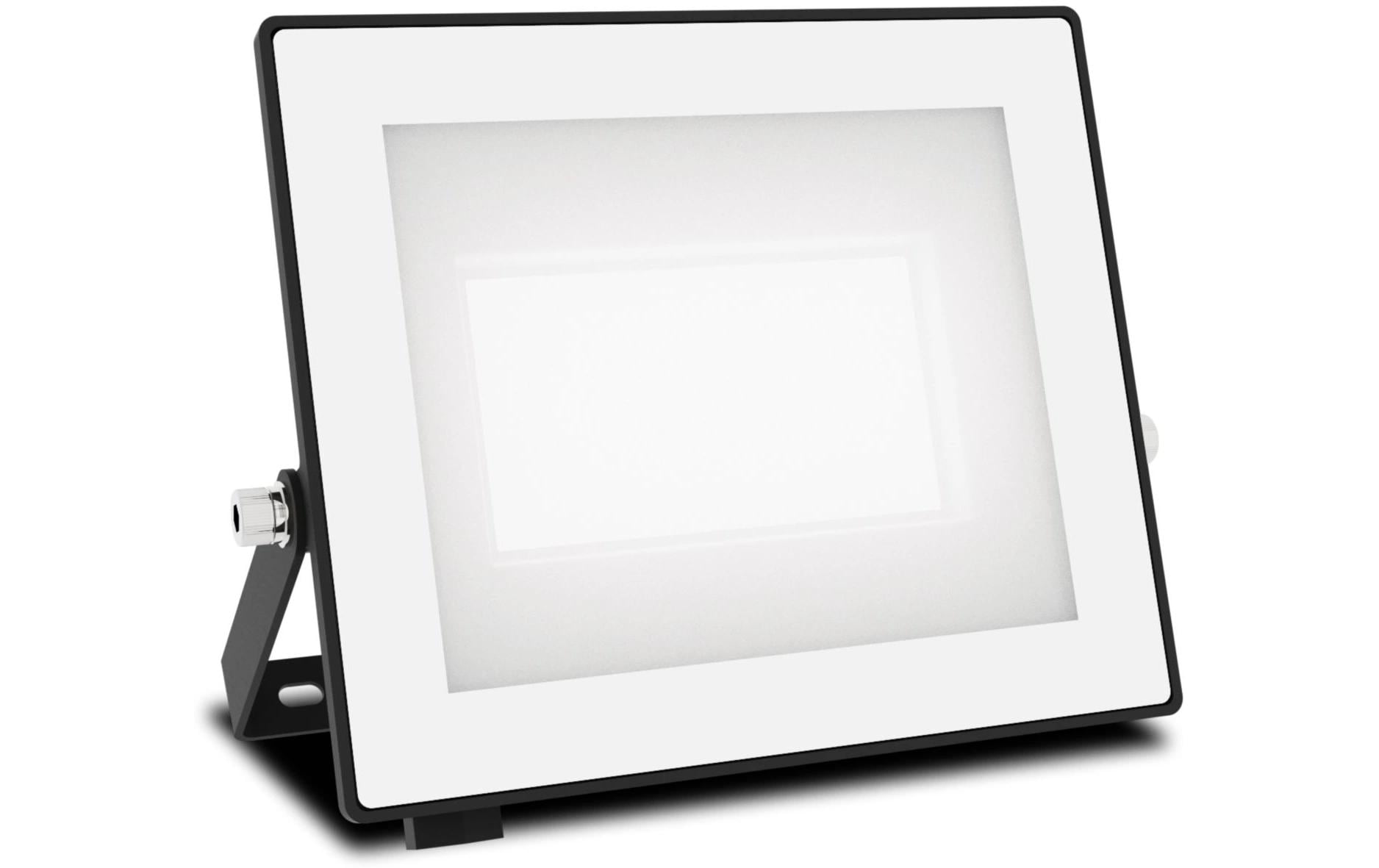 Philips Lois Flutlicht 30W 5000K IP65 schwarz 30 W