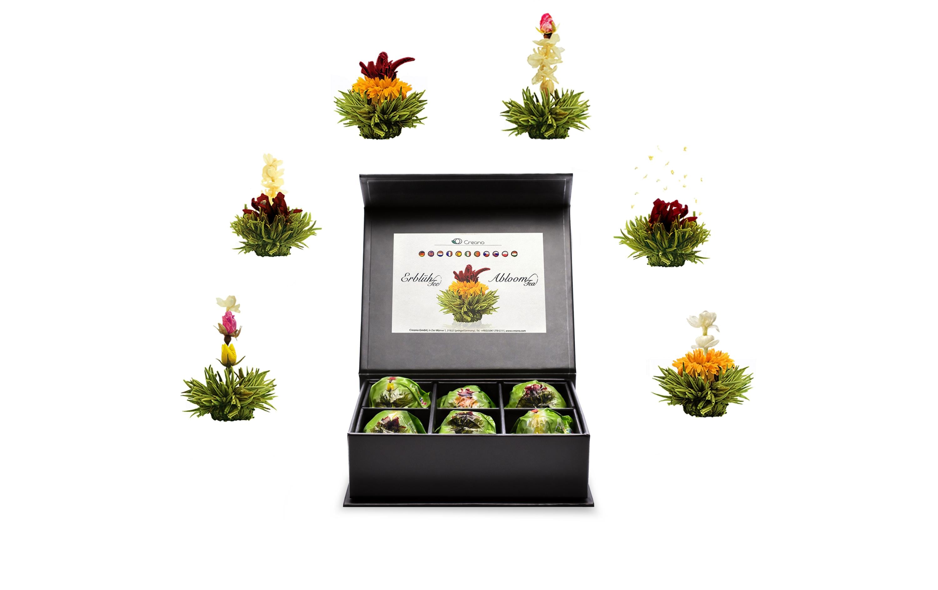 Creano Erblühtee grüner Tee fruity flavor 6er Magnetbox