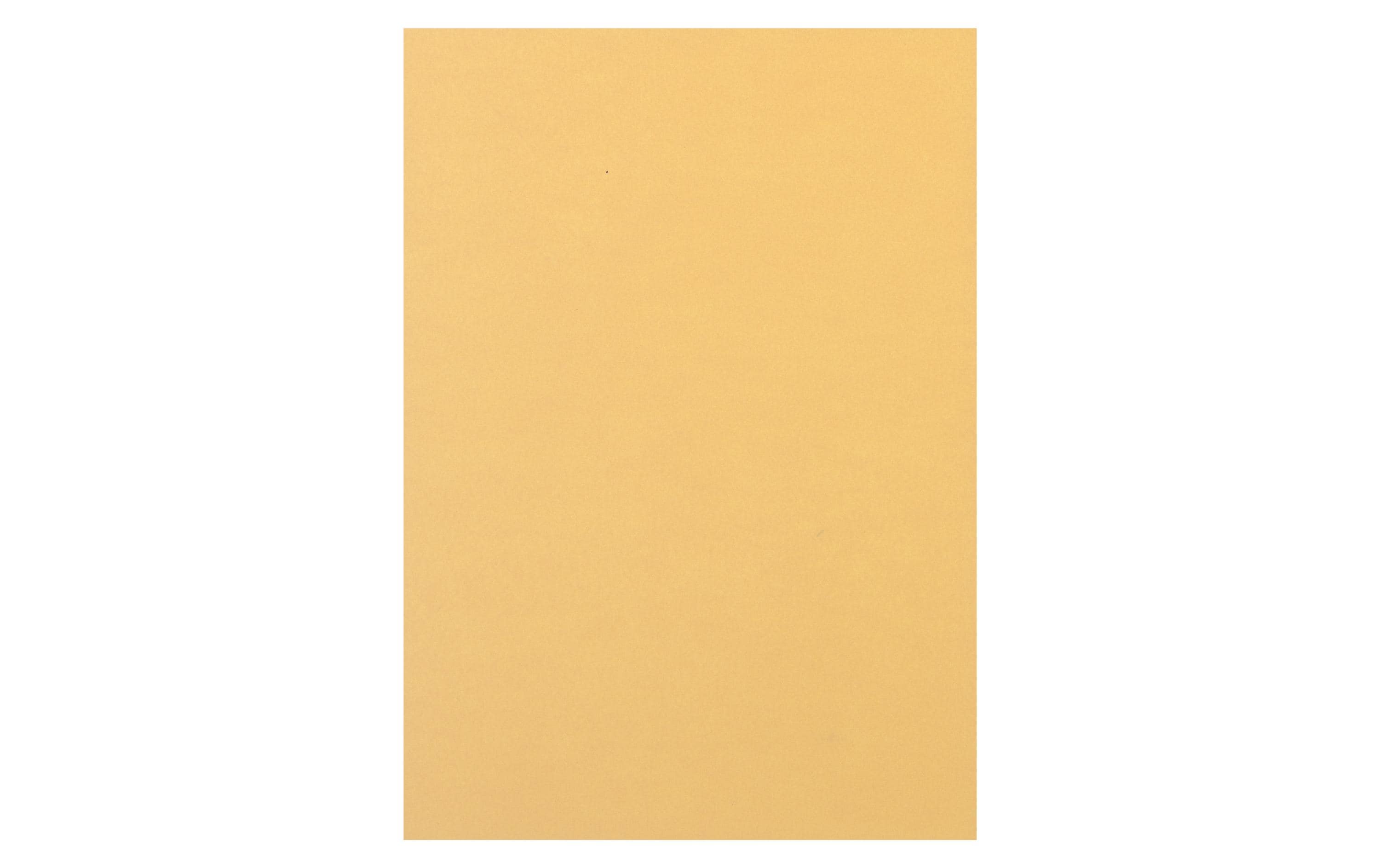 Rainbow Kopierpapier Rainbow 120 g/m² A4, Chamois