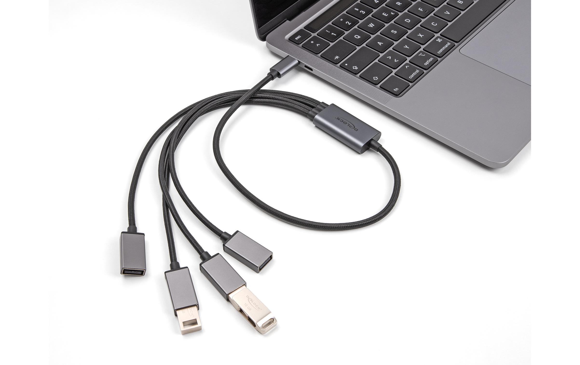 Delock USB-Hub USB 2.0 - 4x USB-A, USB Type-C, 60 cm