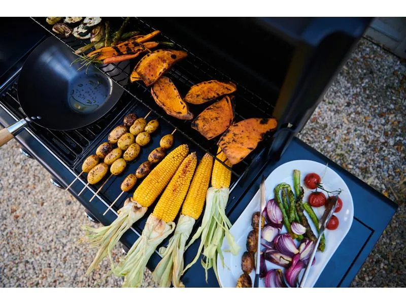 Campingaz Gasgrill Select 3 LX Plus