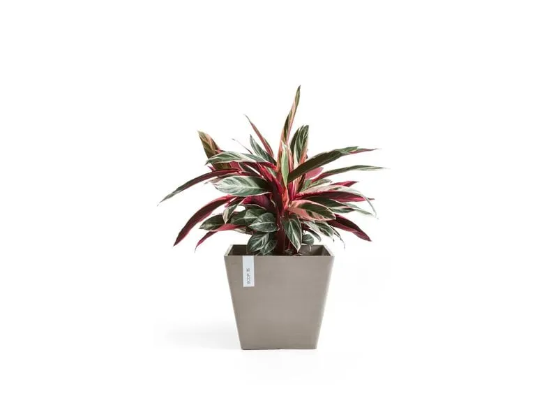 Ecopots Blumentopf Rotterdam Ø 30 cm Taupe