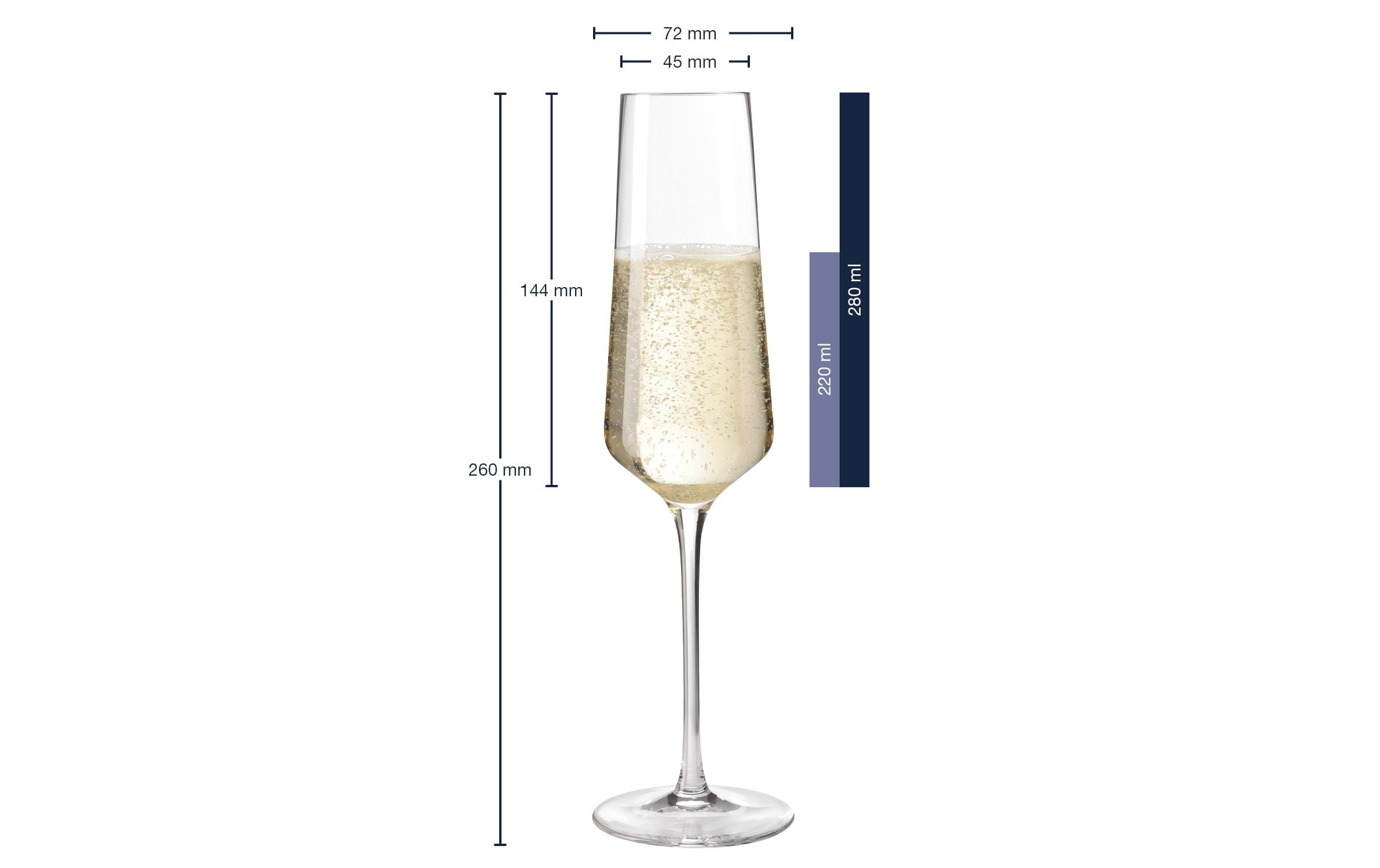 Leonardo Sektglas Puccini 280 ml, 6 Stück, Transparent 