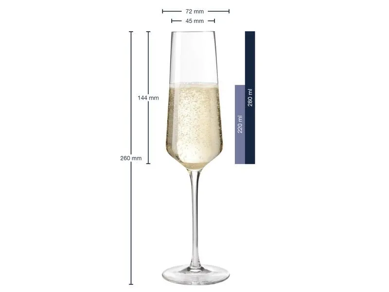 Leonardo Sektglas Puccini 280 ml, 6 Stück, Transparent Leonardo Sektglas Puccini 280 ml, 6 Stück, Transparent