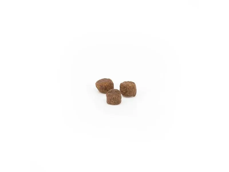 AMBA by kyli Trockenfutter Feel Good, 2 kg AMBA by kyli Trockenfutter Feel Good, 2 kg