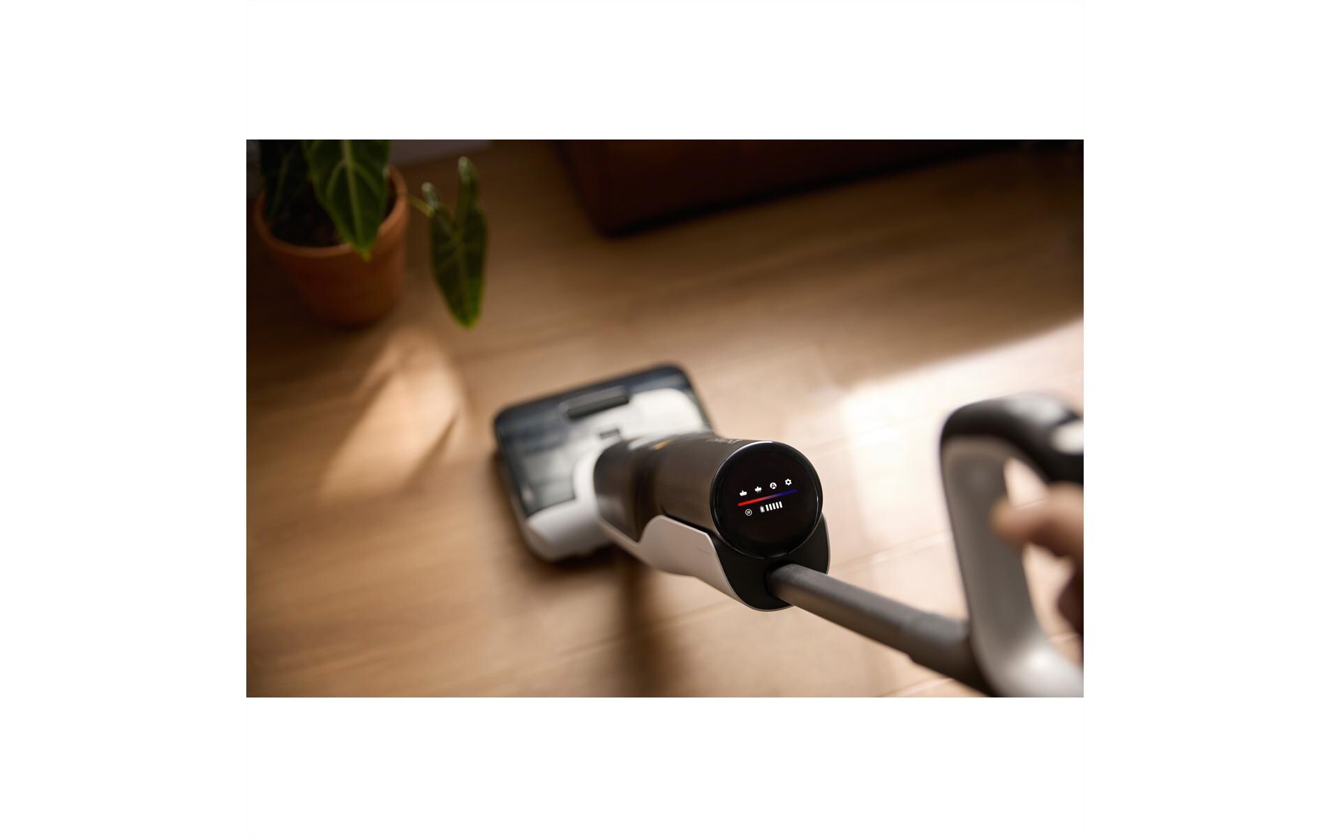 Roborock Nass-Trockensauger F25 Grau