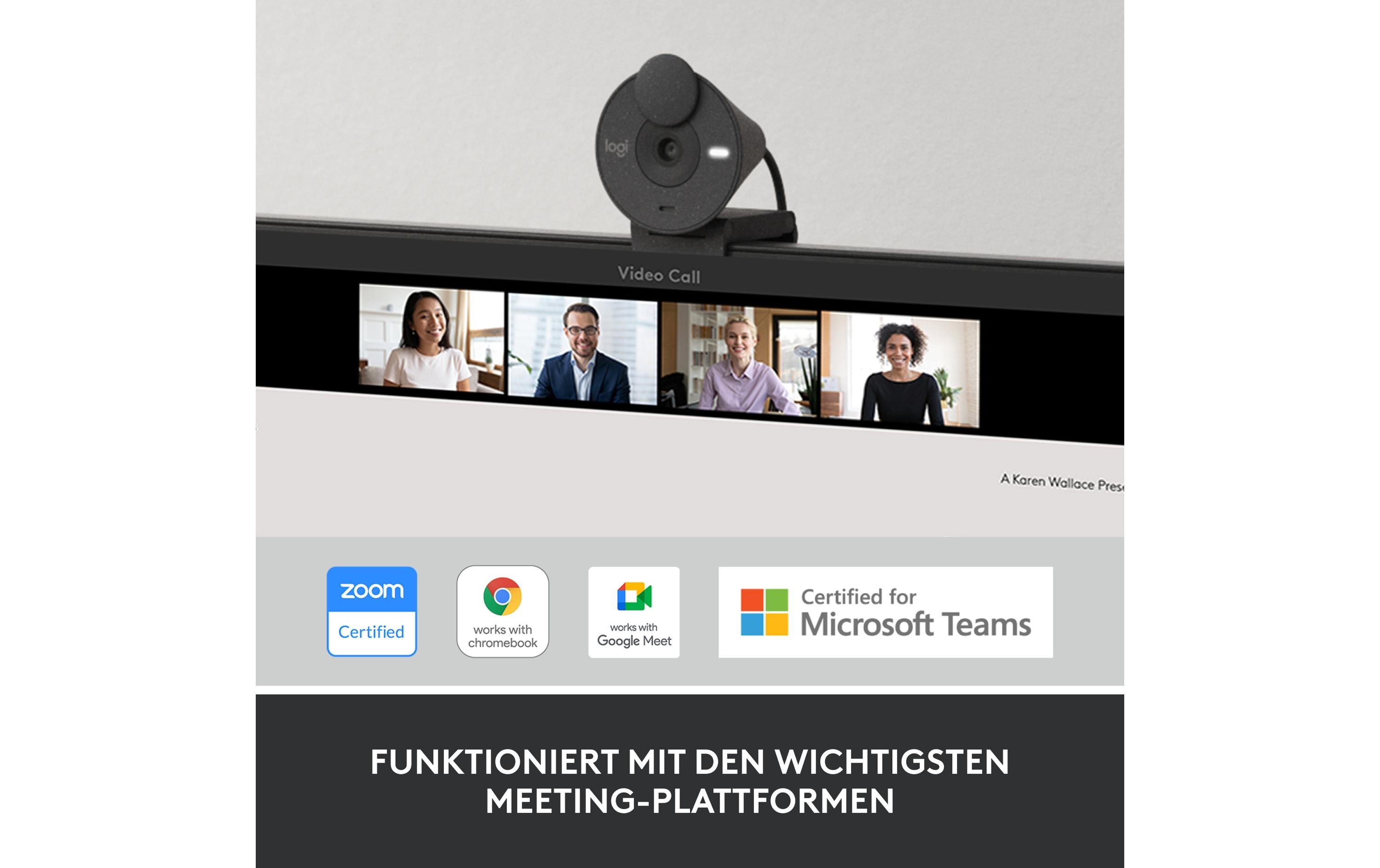 Logitech Webcam Brio 300 Graphite