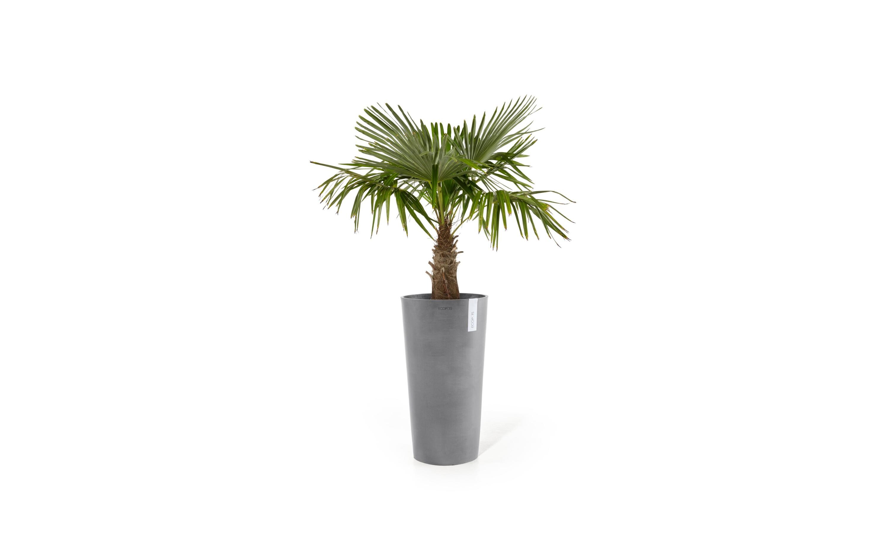 Ecopots Blumentopf Amsterdam High Ø 76 cm Hellgrau
