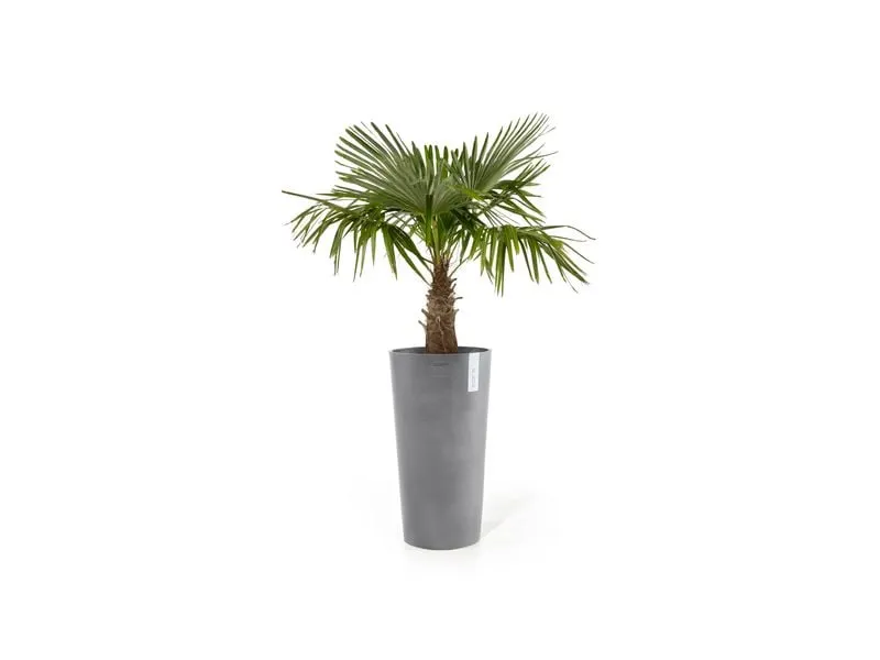 Ecopots Blumentopf Amsterdam High Ø 76 cm Hellgrau Ecopots Blumentopf Amsterdam High Ø 76 cm Hellgrau