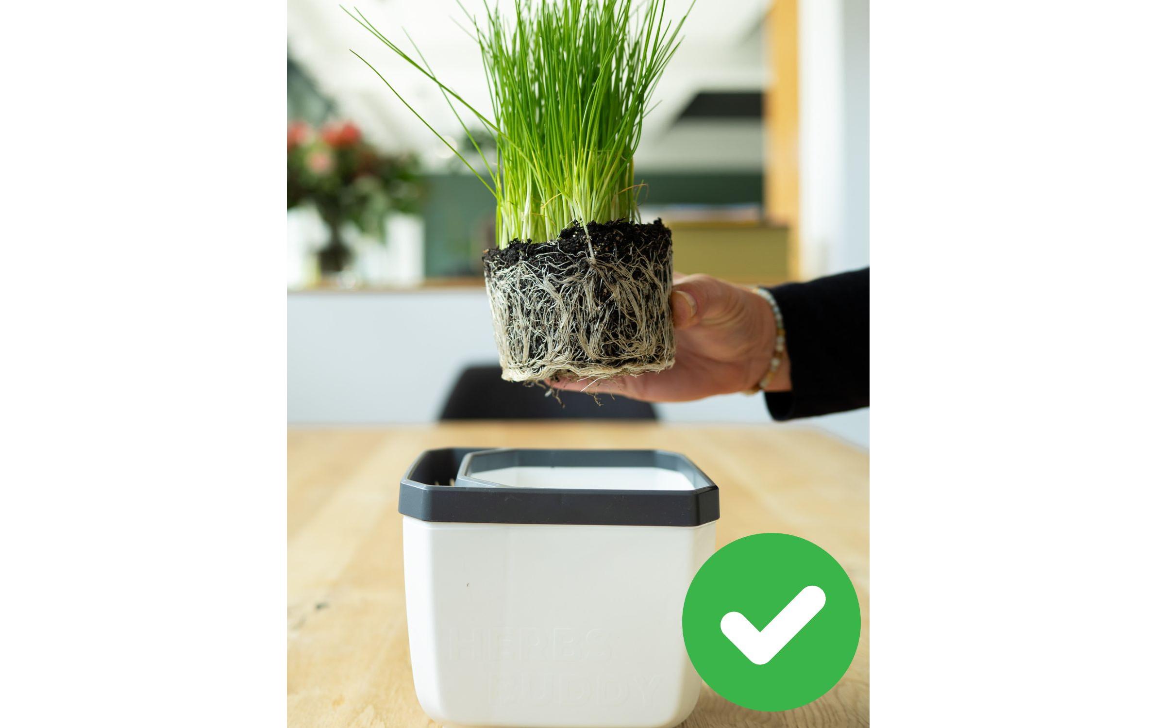 Gusta Garden HERBS BUDDY Kräutertopf 3er Set Weiss