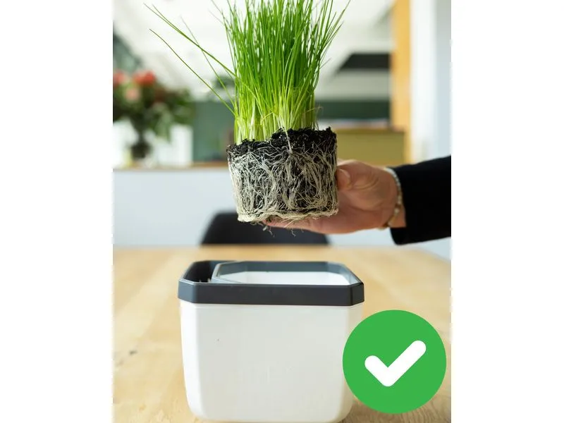 Gusta Garden HERBS BUDDY Kräutertopf 3er Set Weiss Gusta Garden HERBS BUDDY Kräutertopf 3er Set Weiss
