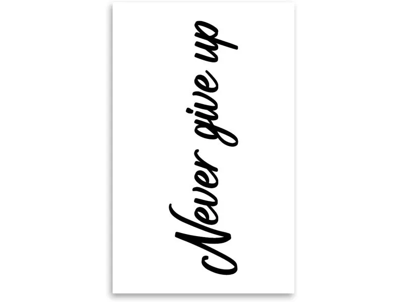 minink Tattoo Schrift Never give up Grösse: M (1.9 cm x 7.0 cm) minink Tattoo Schrift Never give up Grösse: M (1.9 cm x 7.0 cm)