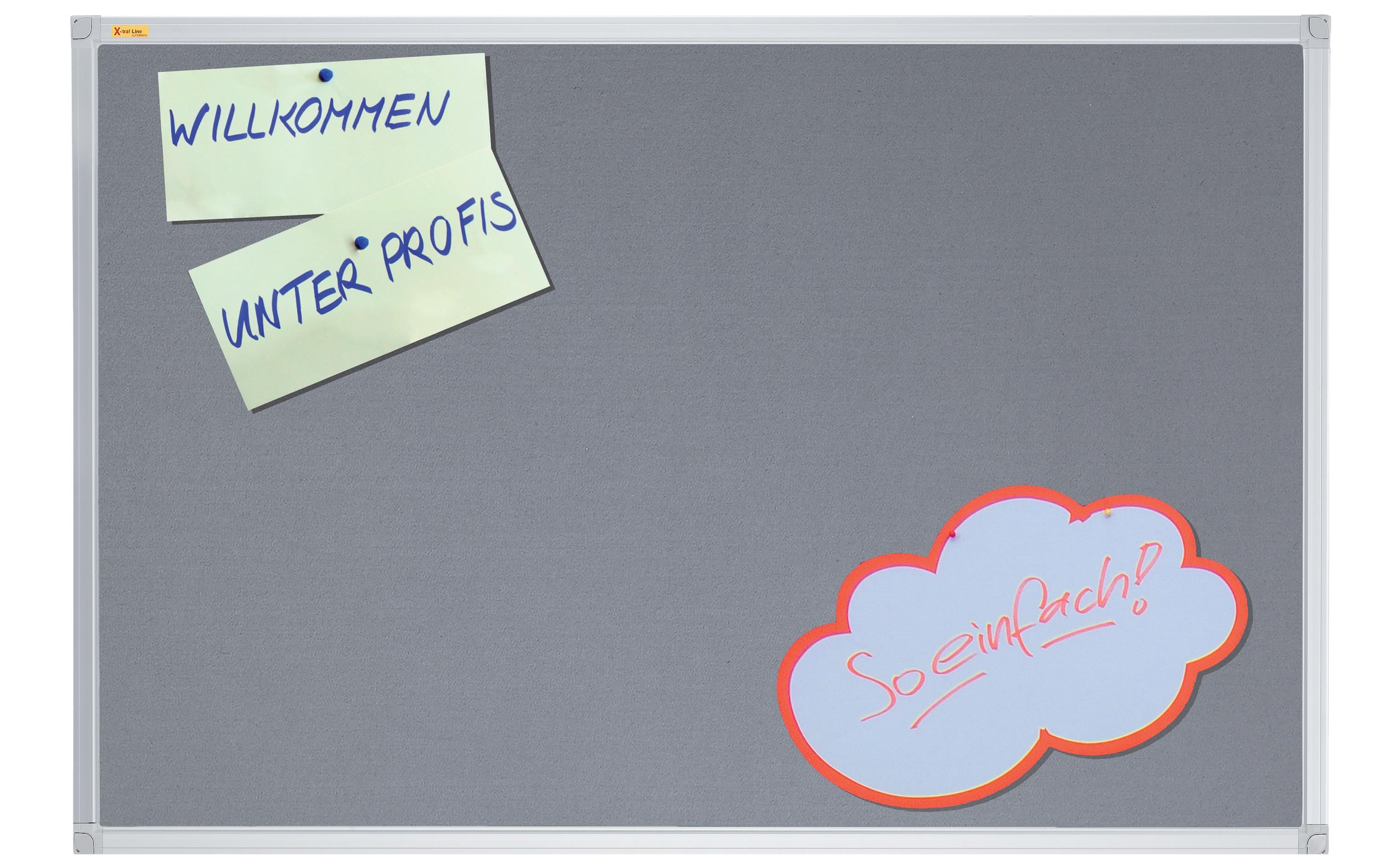 Franken Pinnwand X-tra!Line 45 cm x 60 cm, Grau Franken Pinnwand X-tra!Line 45 cm x 60 cm, Grau