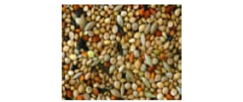 Eric Schweizer Ziervogelfutter Exotenfutter, 1 kg Eric Schweizer Ziervogelfutter Exotenfutter, 1 kg