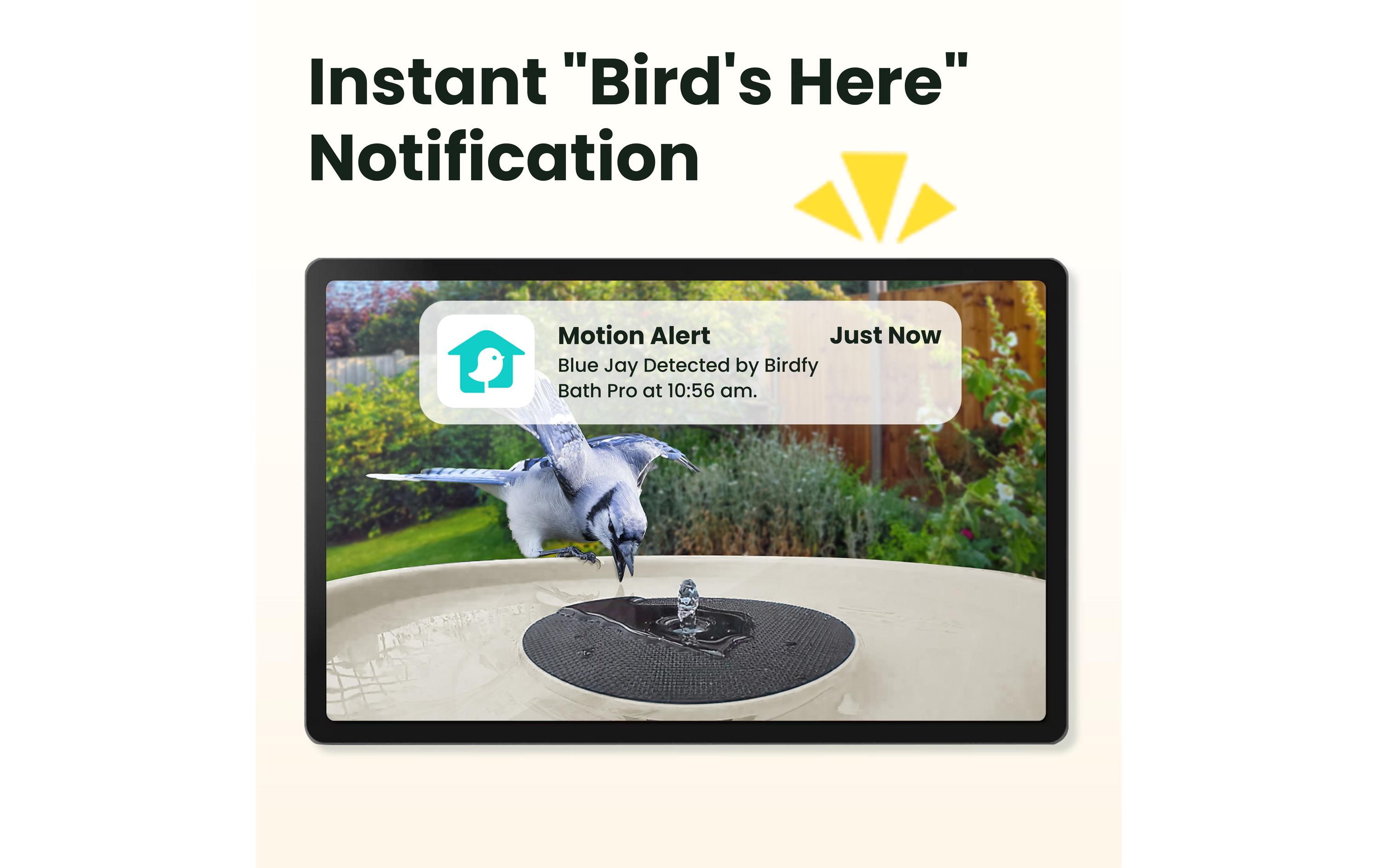 Birdfy Intelligentes Vogelbad mit Kamera