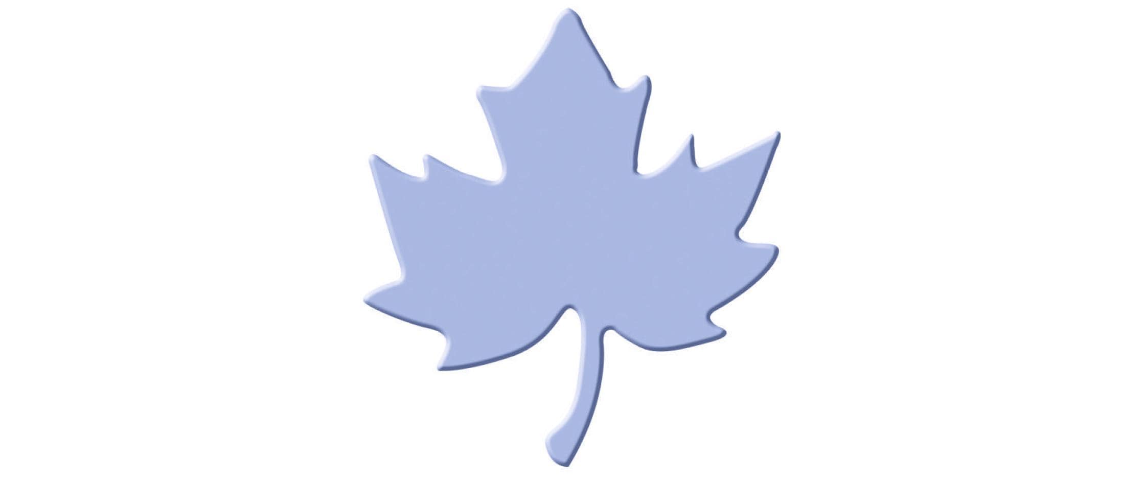 URSUS Motivstanzer Maxi 5.1 cm, Ahorn