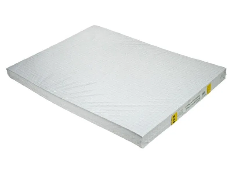 ingold-biwa Zeichenpapier A4, kariert, 100 Blatt