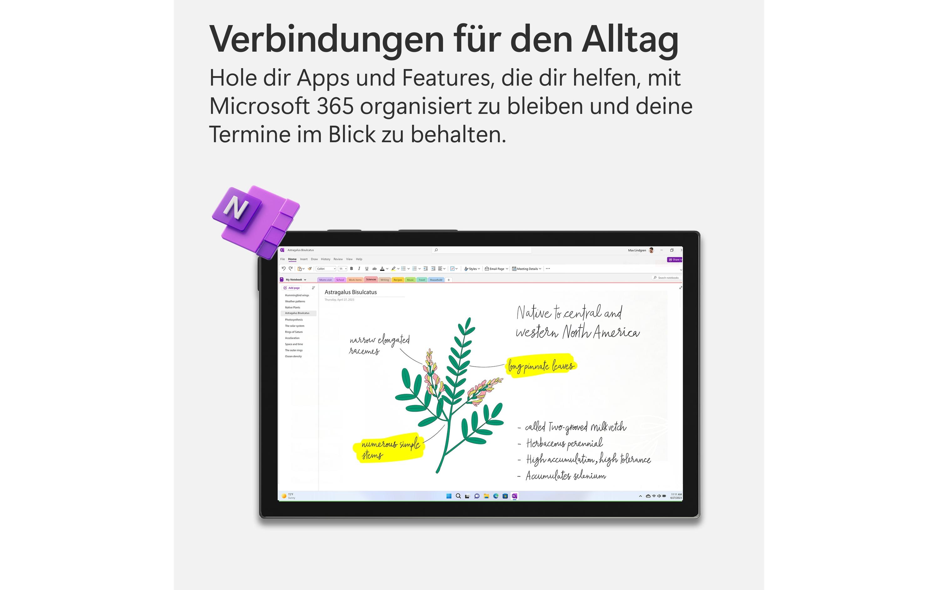 Microsoft 365 Personal Box, 1 User, Deutsch