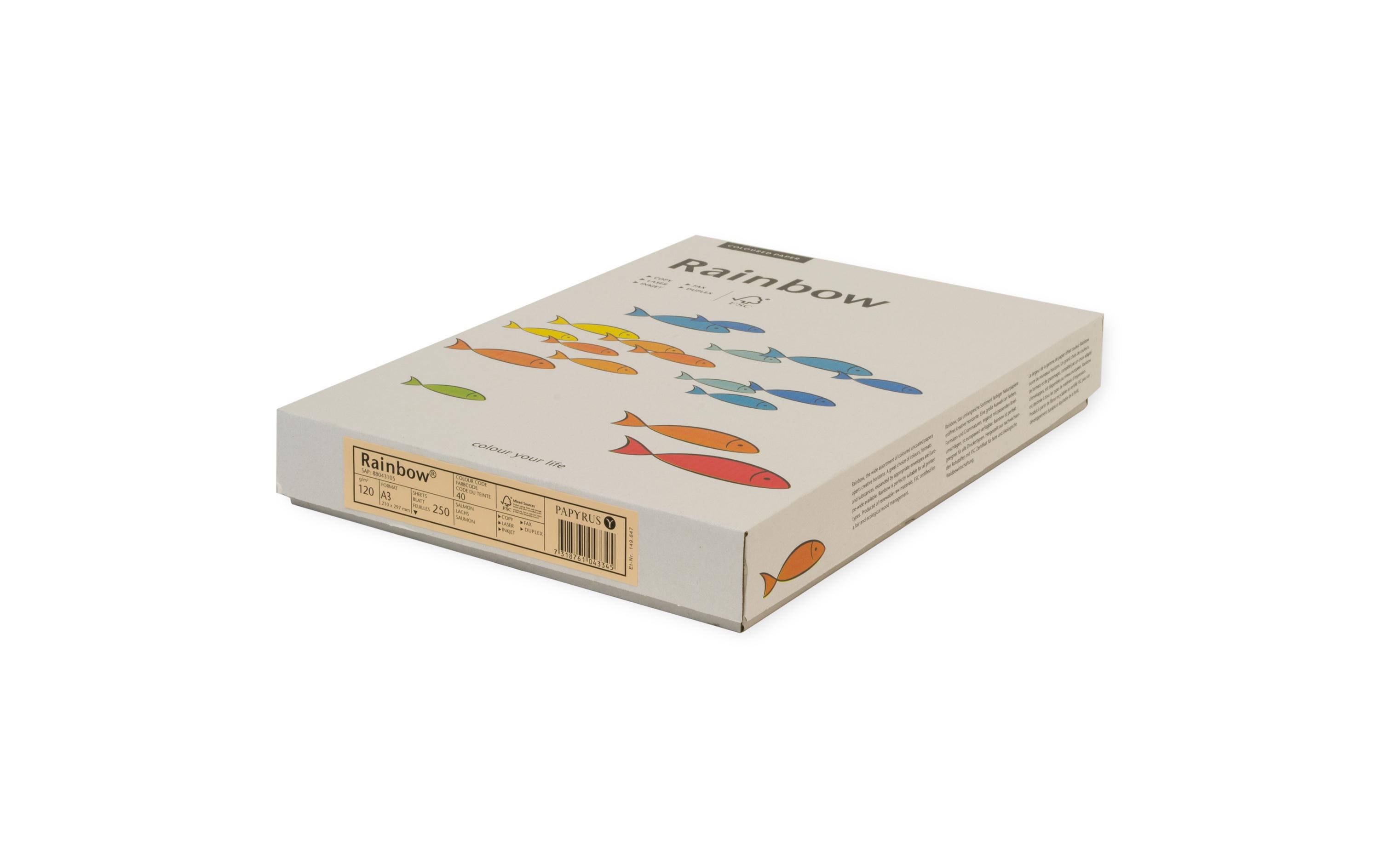 Rainbow Kopierpapier A3, Grün, 120 g/m², 250 Blatt