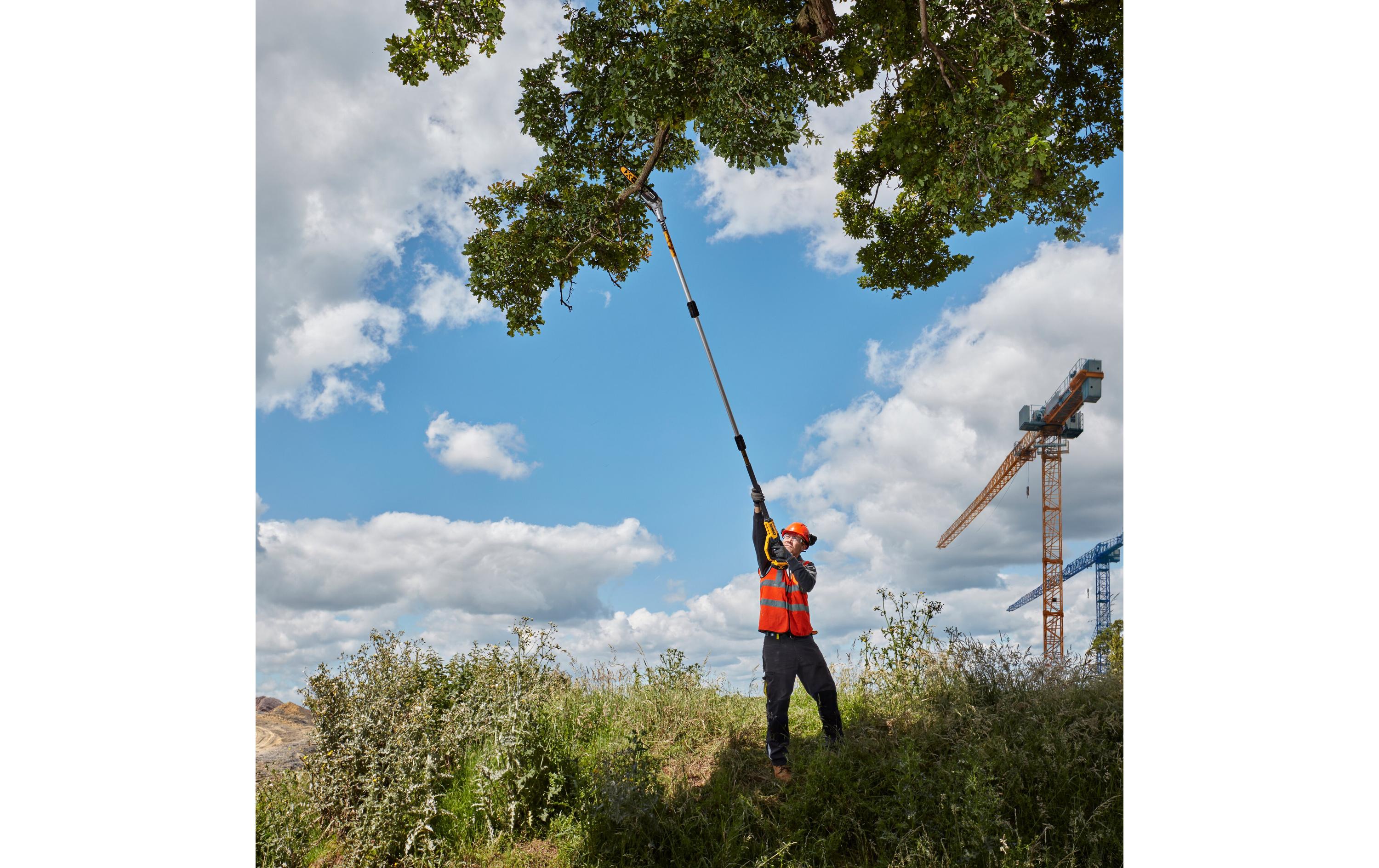 DeWalt Akku-Hochentaster Basis (bürstenlos), 18 V, Solo