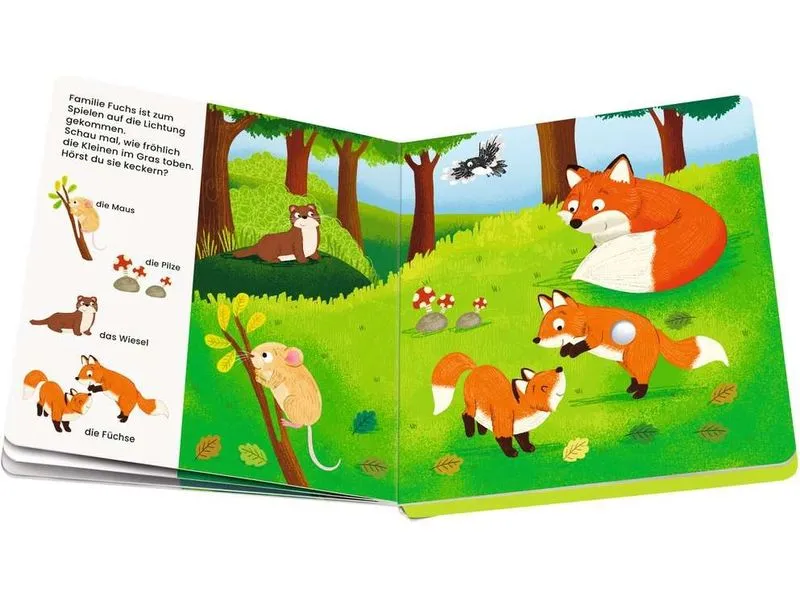 play+ Mein allererstes Soundbuch Tiere im Wald play+ Mein allererstes Soundbuch Tiere im Wald