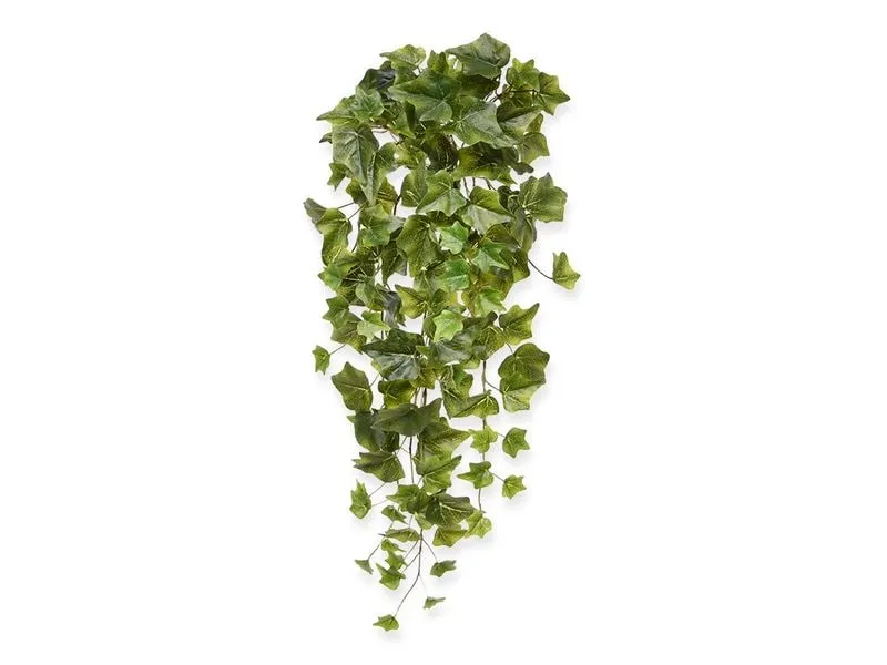 Botanic-Haus Kunstpflanze Efeu Hängepflanze Grün, 65 cm