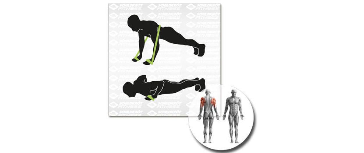 Schildkröt Fitness Fitnessbänder