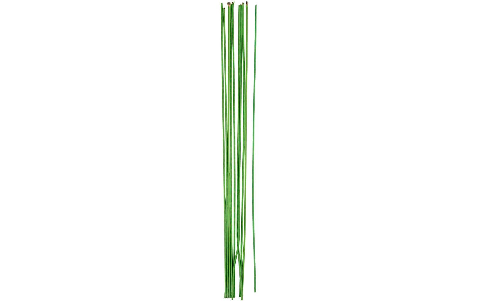 Creativ Company Blumendraht 0.2 x 30 cm 20 Stück Creativ Company Blumendraht 0.2 x 30 cm 20 Stück