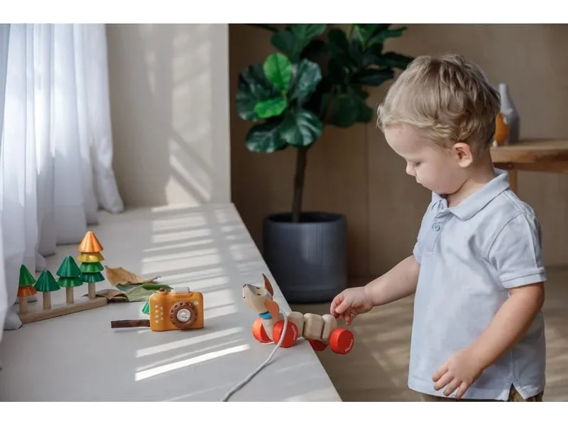 Plantoys Nachzieh-Hündchen aus Kautschukholz Plantoys Nachzieh-Hündchen aus Kautschukholz