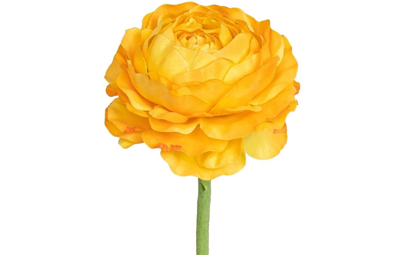 Botanic-Haus Kunstblume Ranunkel Rosé-Weiss, 50 cm