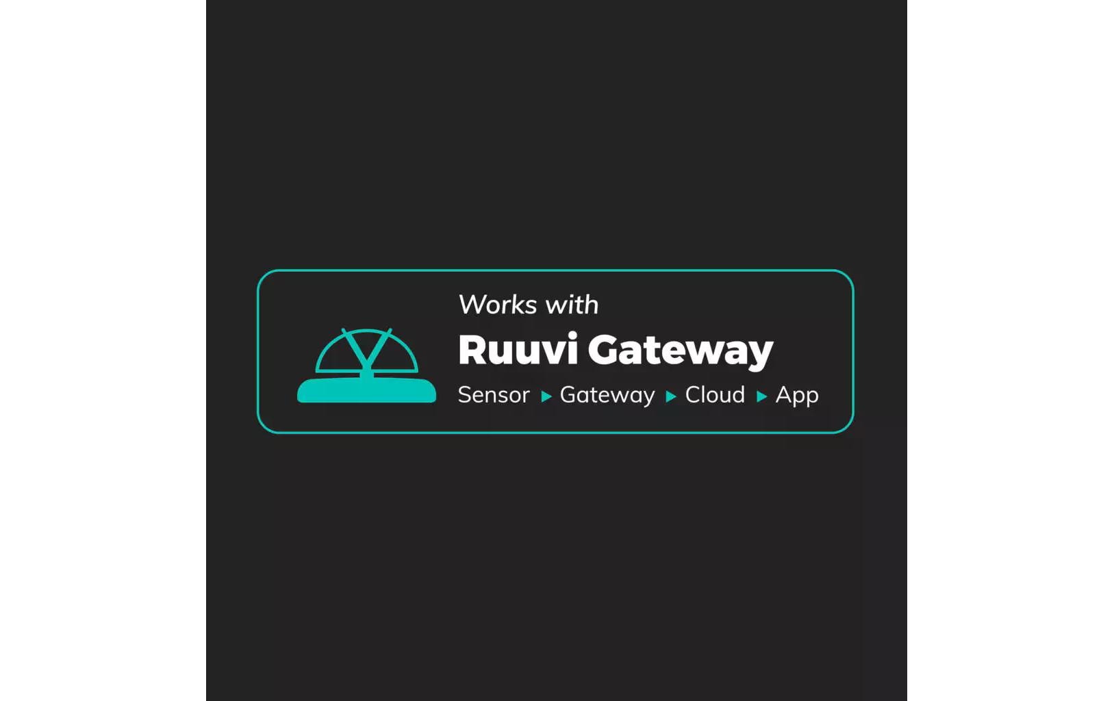 ruuvi Temperatur- und Feuchtigkeitsmessgerät RuuviTag Pro 3 in 1