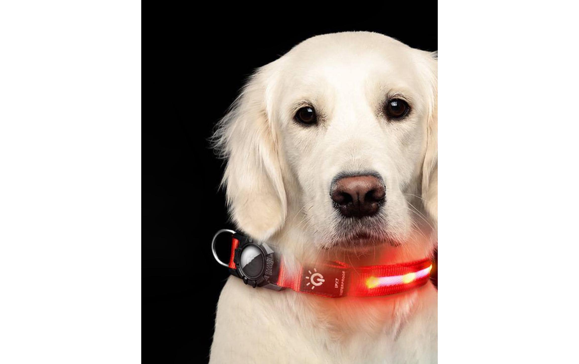 Esmée Halsband mit Airtaghalterung L