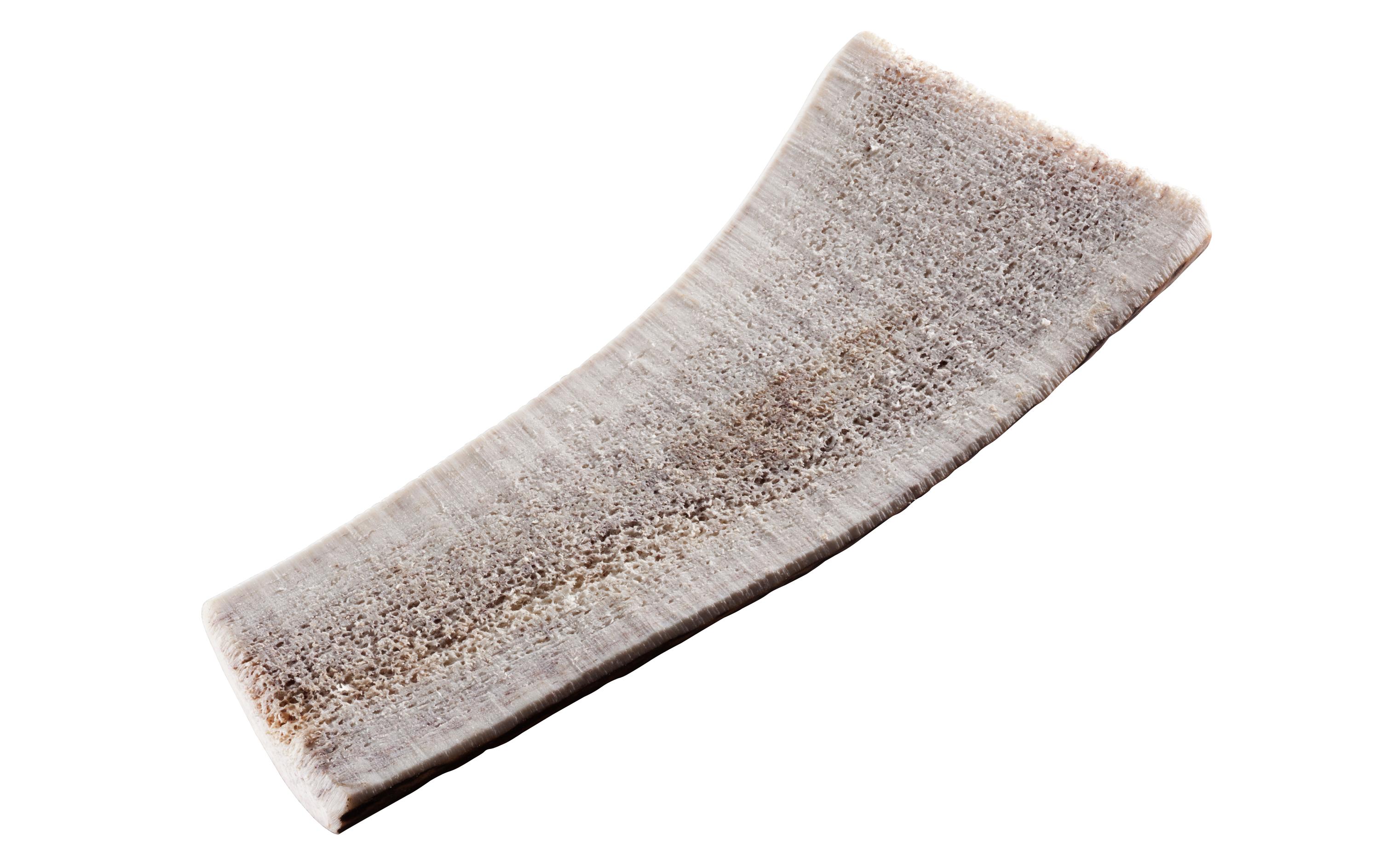 Chewies Rothirsch-Geweihstange M halb Chewies Rothirsch-Geweihstange M halb