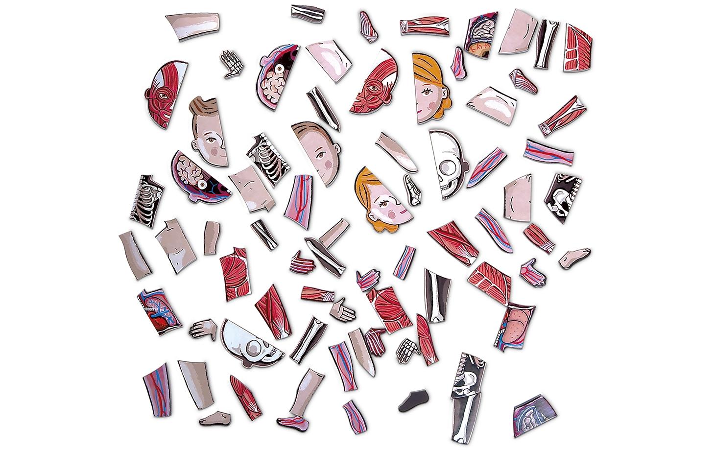 Janod Kinderspiel Magnetspiel Körper