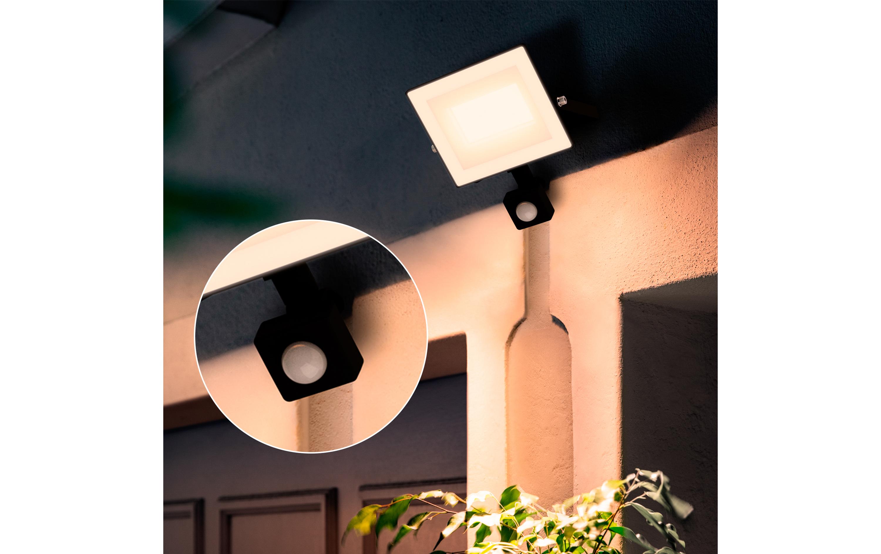 Philips Lois Flutlicht 30W 3000K IR IP65 schwarz 30 W