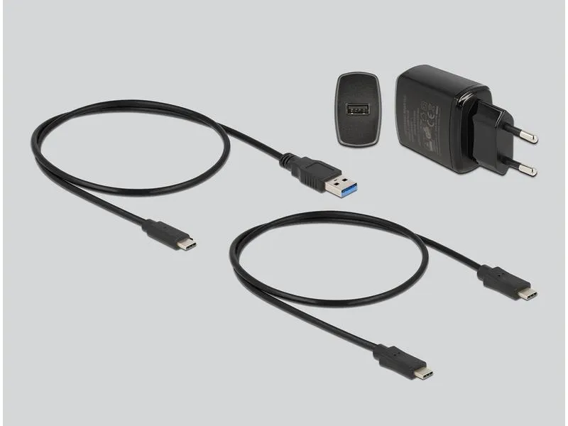 Delock Docking- und Klonstation für 2x M.2 NVMe Delock Docking- und Klonstation für 2x M.2 NVMe