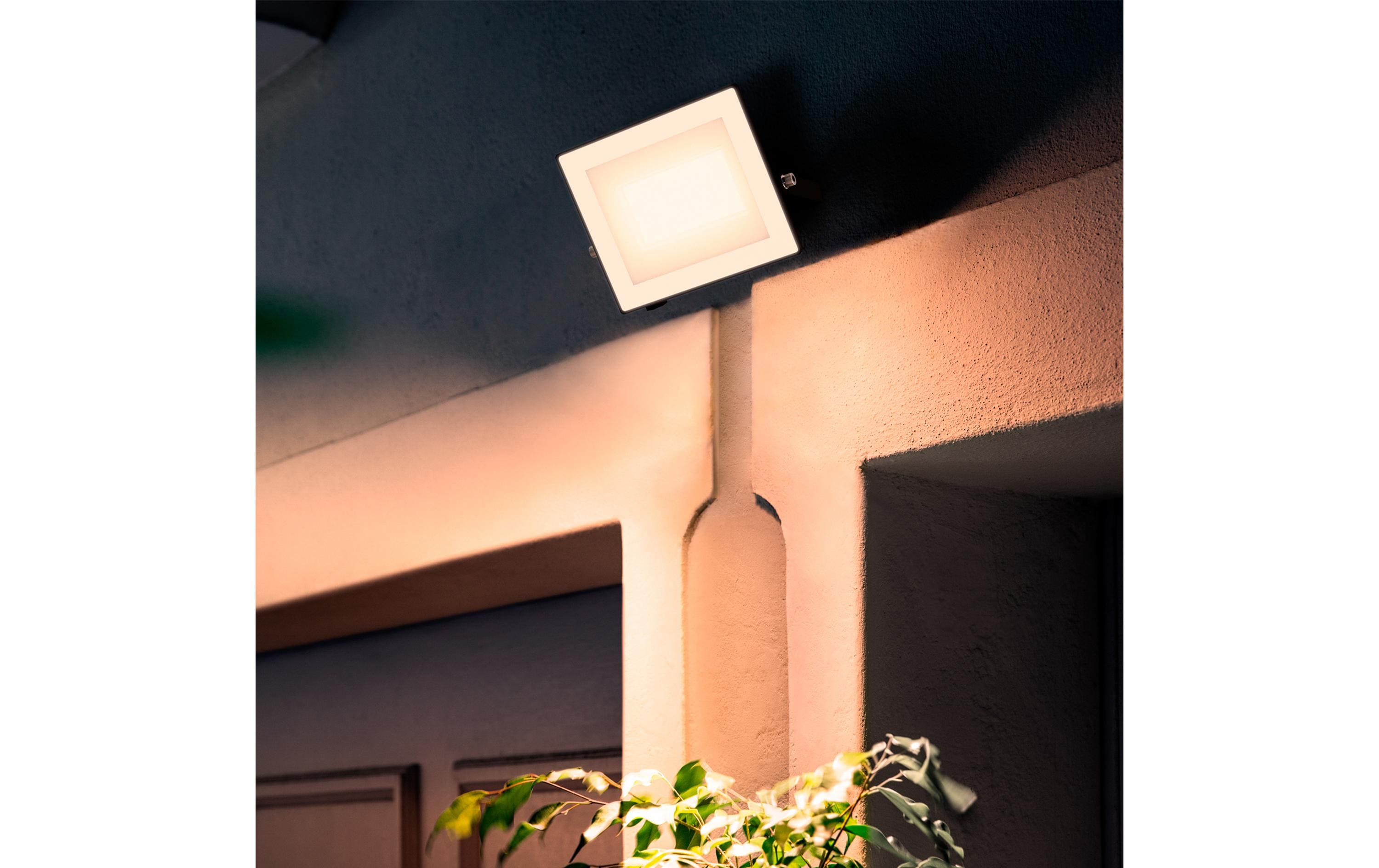 Philips Lois Flutlicht 30W 3000K IP65 schwarz 30 W