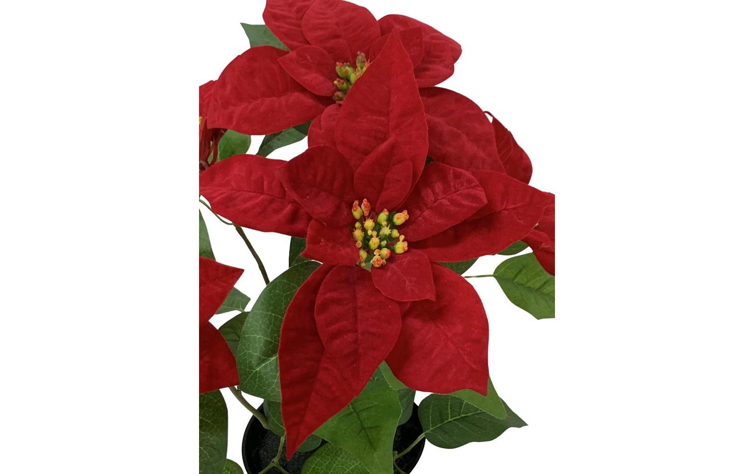 Botanic-Haus Kunstblume Weihnachtsstern Rot