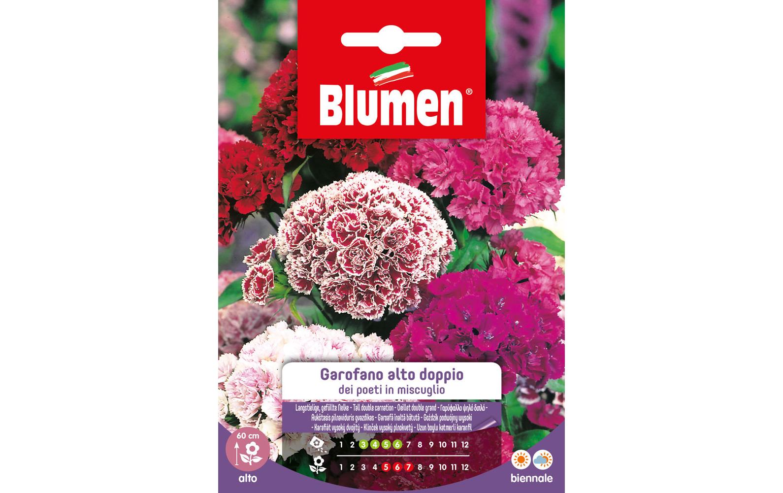 Blumen Saatgut Langstielige, gefüllte Nelke Mix