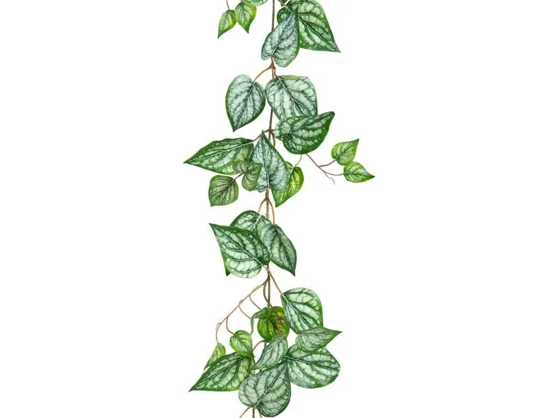 Botanic-Haus Kunstpflanze Calatheagirlande 150 cm Botanic-Haus Kunstpflanze Calatheagirlande 150 cm