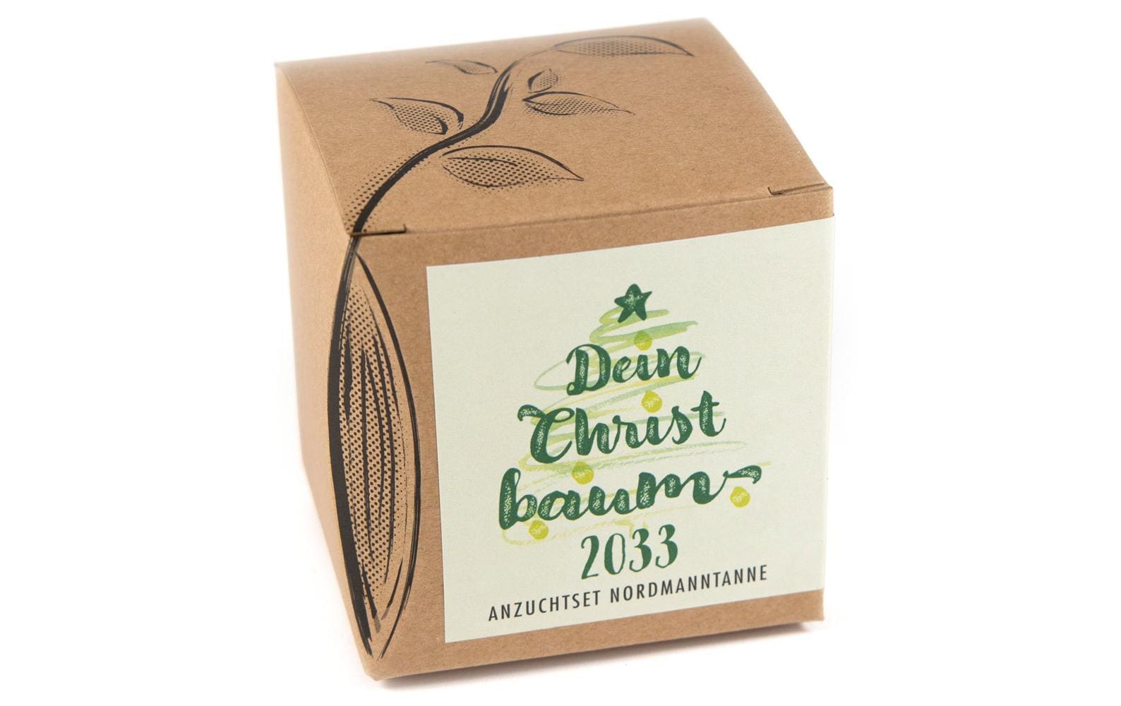 Naturkraftwerk Anzuchtset Dein Christbaum 2033, mit Nordmanntanne