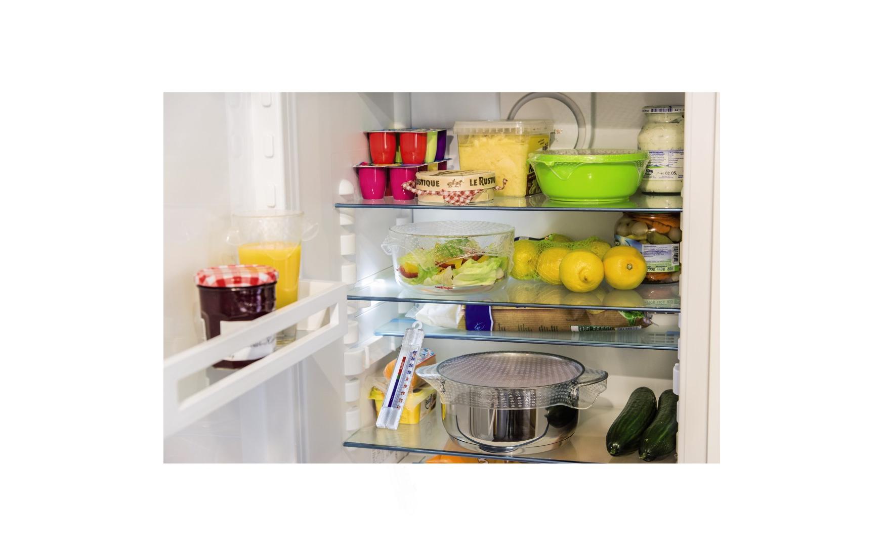 Xavax Kühl- / Gefrierthermometer analog