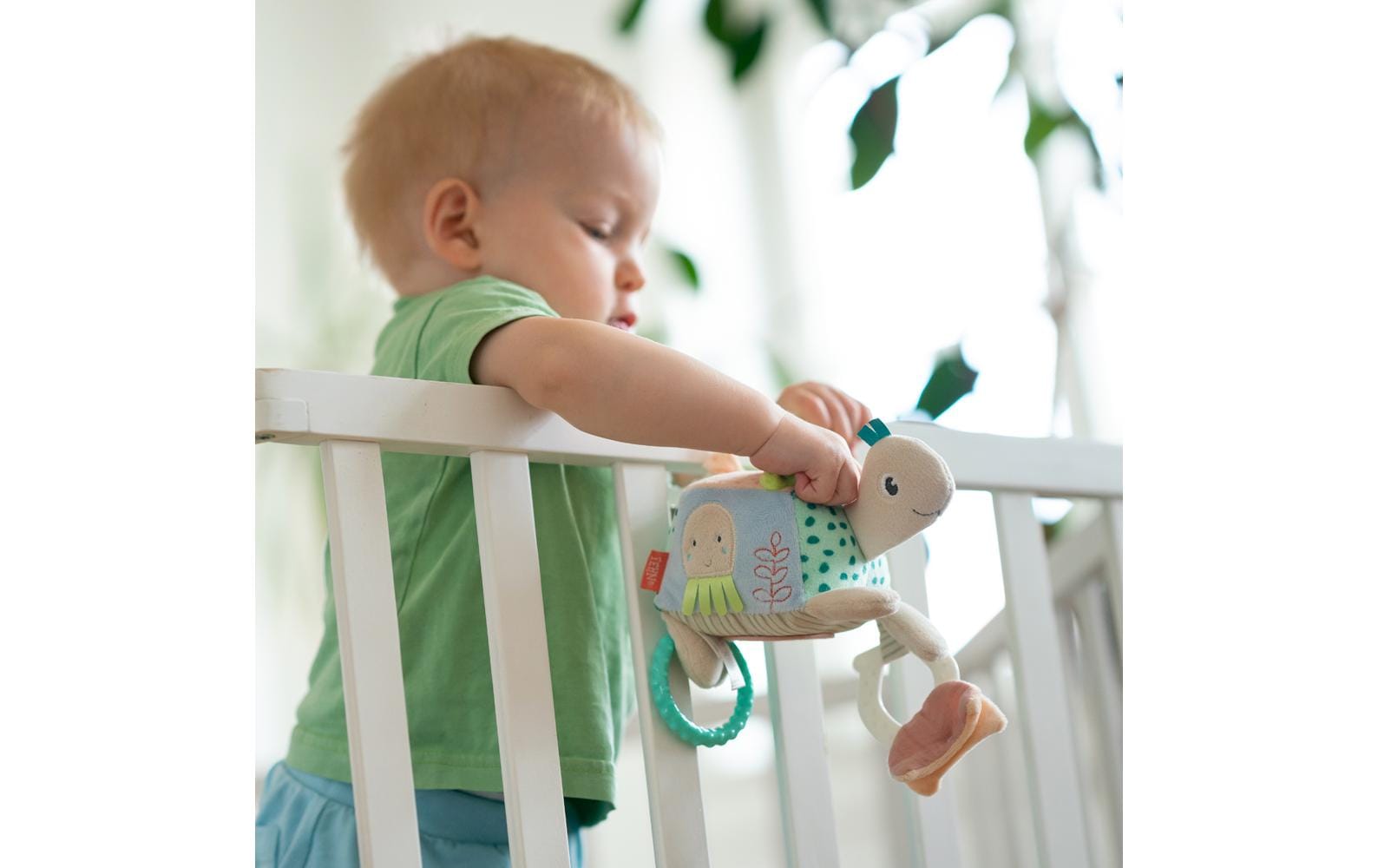 fehn Motorik-Spielzeug Activity Schildkröte