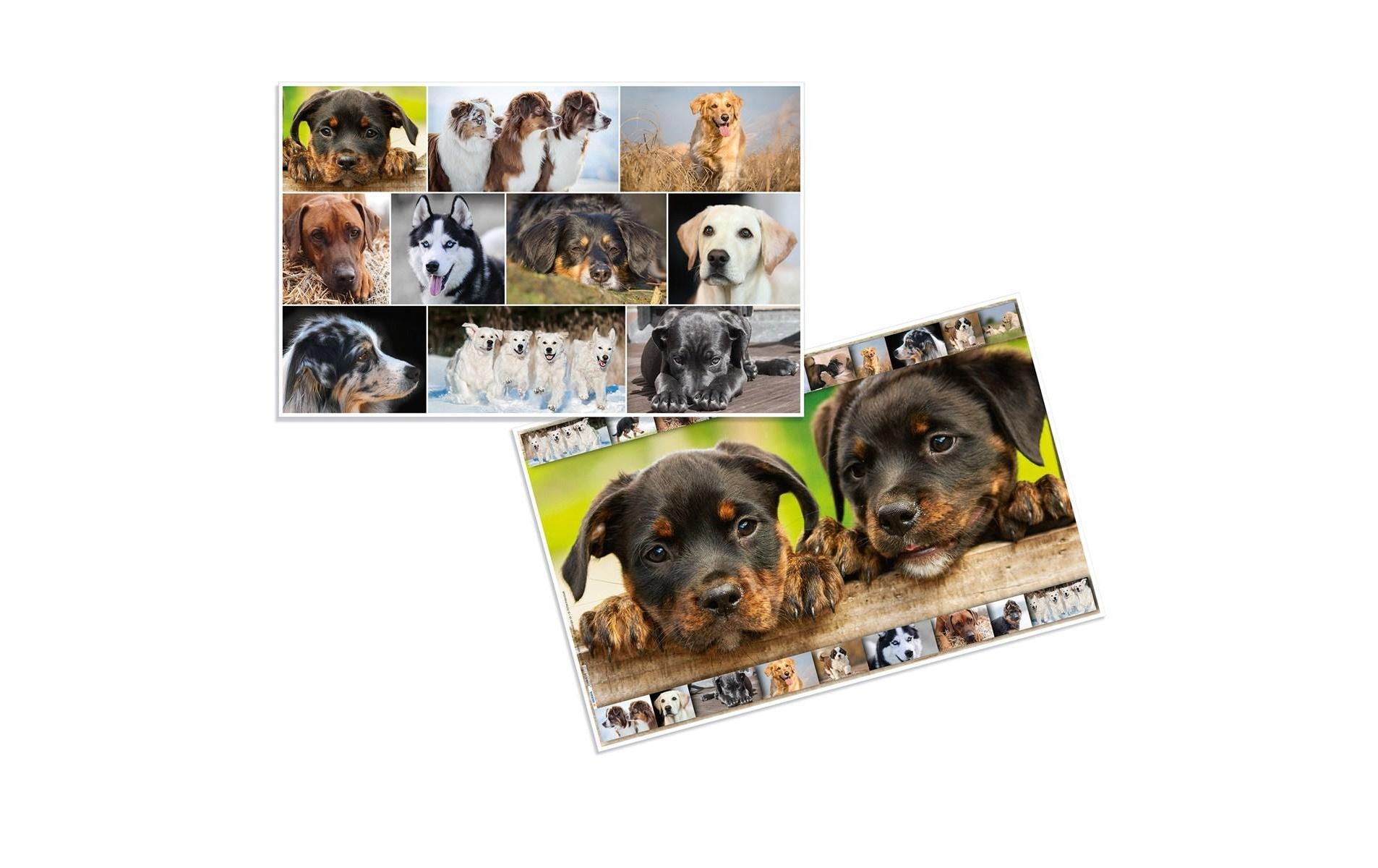 HERMA Schreibunterlage Hunde 55 x 35 cm HERMA Schreibunterlage Hunde 55 x 35 cm