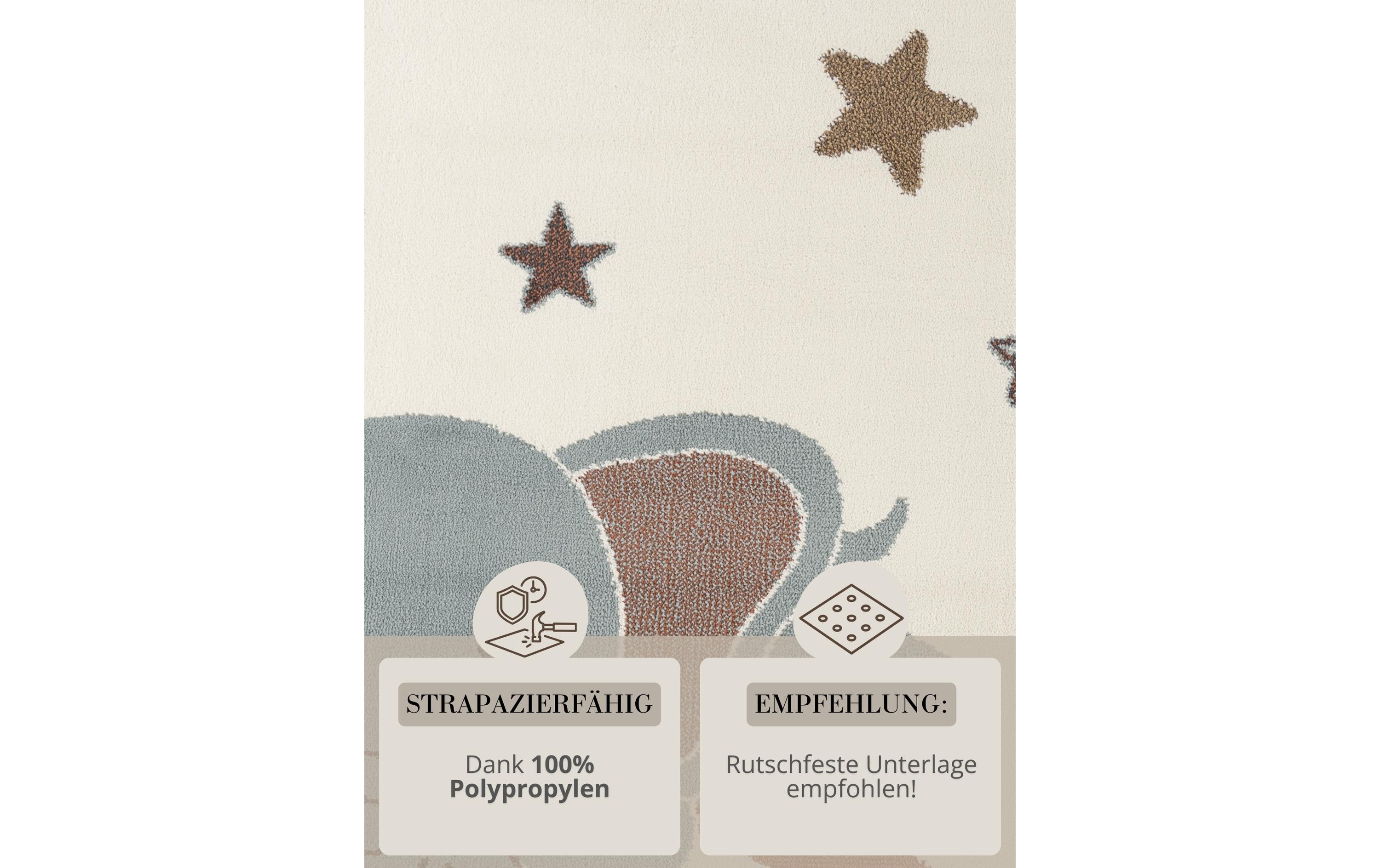 Hanse Home Dekoteppich Dreamy Jumbo 160 x 235 cm