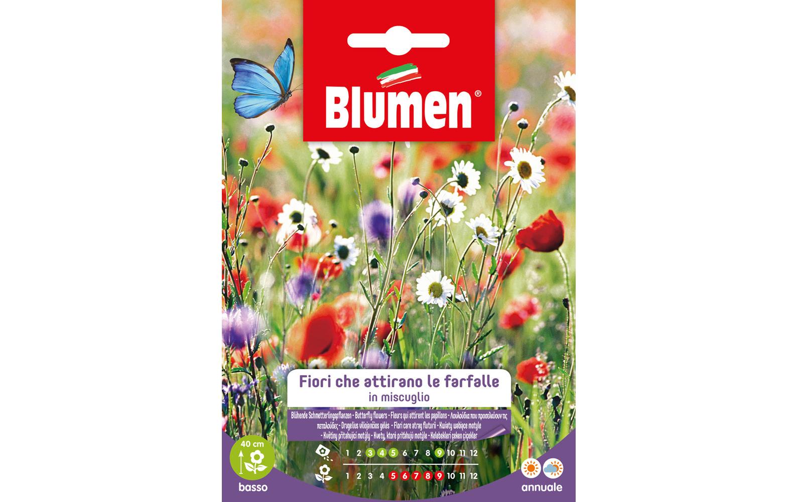 Blumen Saatgut Blühende Schmetterlingspflanzen