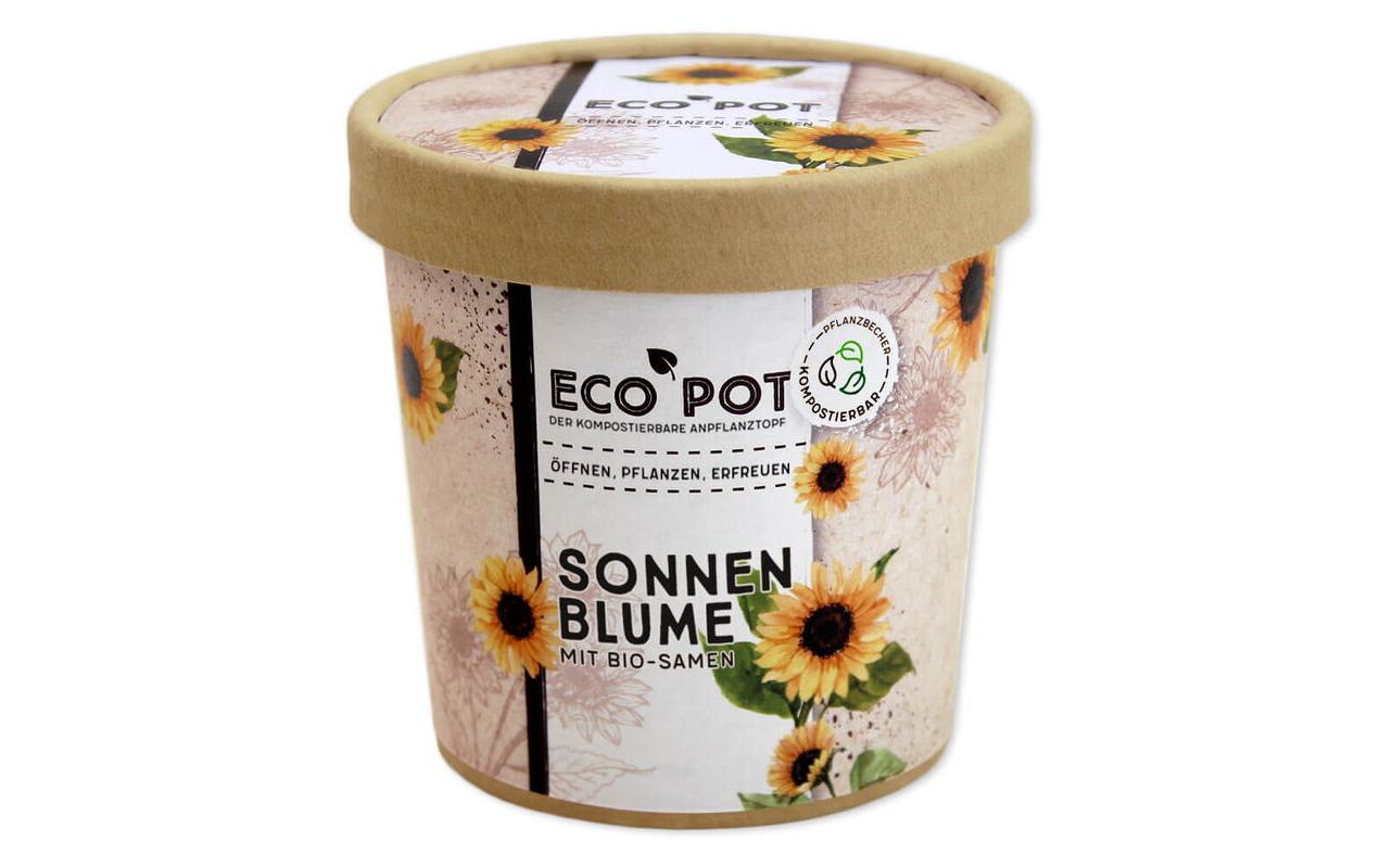 Feel Green EcoPot Sonnenblume BIO Feel Green EcoPot Sonnenblume BIO