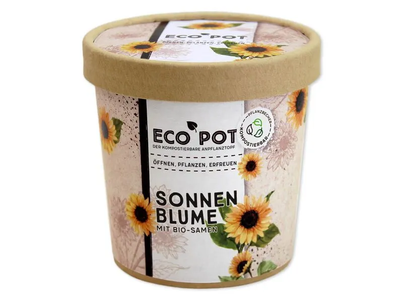 Feel Green EcoPot Sonnenblume BIO Feel Green EcoPot Sonnenblume BIO
