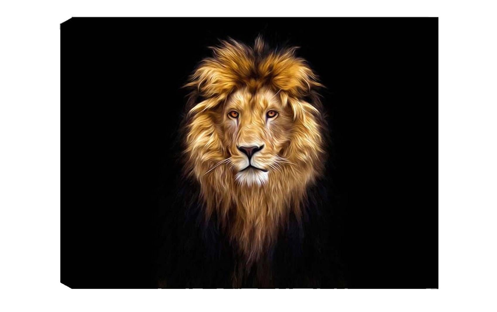 Wallxpert Bild Lion 50 x 70 cm