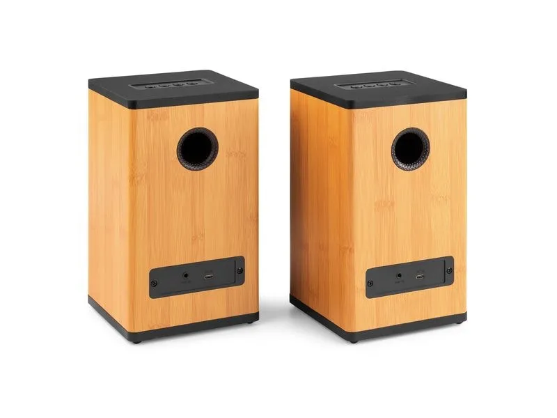 Audizio Regallautsprecher BS20-BM 50W, BT, Akku, bamboo Bambus